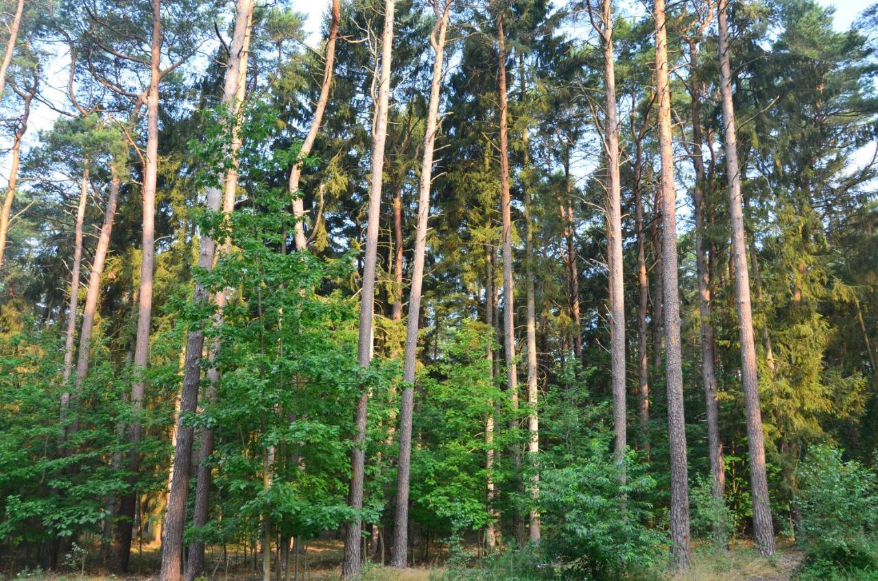 Apartament Blue Mare Pod Wiewiorka Łukęcin Exteriér fotografie